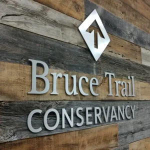 metal dimensional letter signage with an arrow pointing up on wood panels